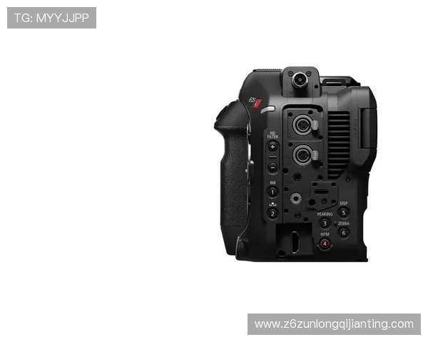 Z6尊龙网址安全登录指南,详细介绍多种防护措施确保玩家账号安全无忧 Z6尊龙网址安全登录指南,详细介绍多种防护措施确保玩家账号安全无忧