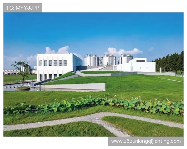 尊龙z6集团:实现绿色可持续发展的环保战略与实践探索 尊龙z6集团:实现绿色可持续发展的环保战略与实践探索