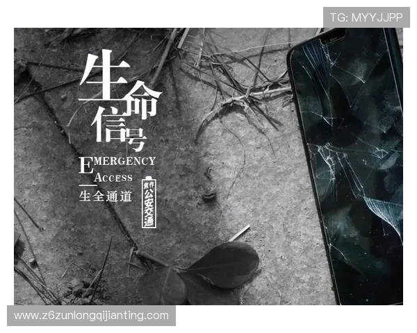 探索尊龙凯时旗舰网站的安全性与隐私保护措施