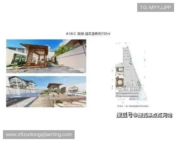 尊龙娱乐会所环境设施与服务质量提升的最新动态与改进措施