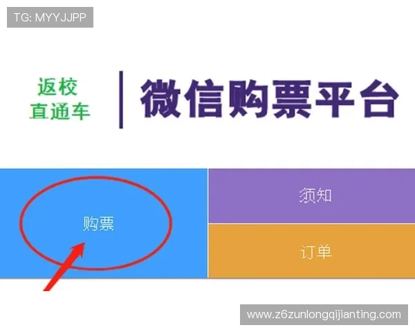 世界杯伊朗对新西兰比赛官方购票入口及购票成功指南